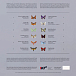 Виниловая пластинка Dominik Eulberg - Lepidoptera - 2LP - рис.2