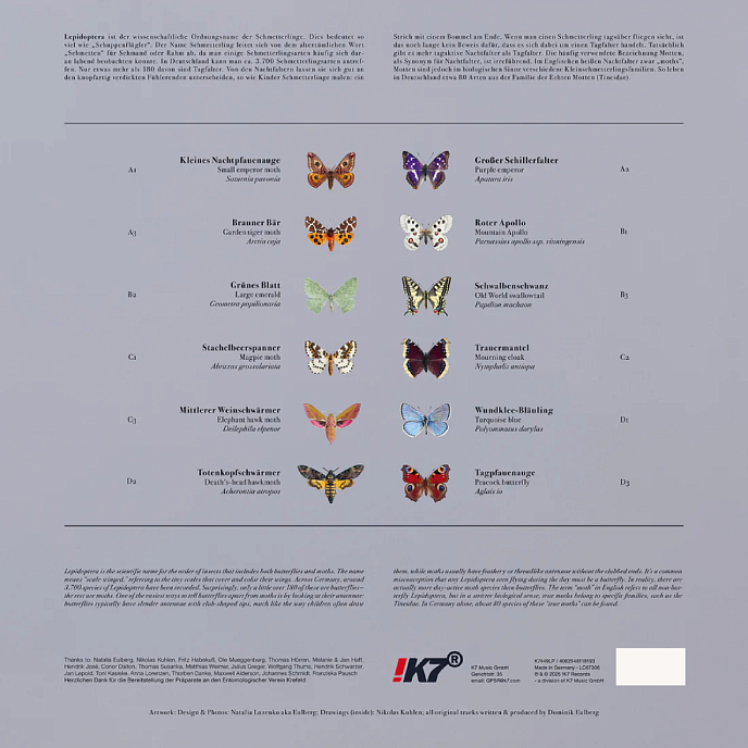Виниловая пластинка Dominik Eulberg - Lepidoptera - 2LP - рис.2