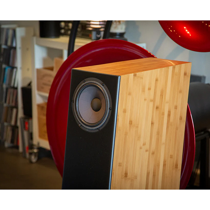 Напольная акустика Davis Acoustics MV One Master Bamboo - рис.3