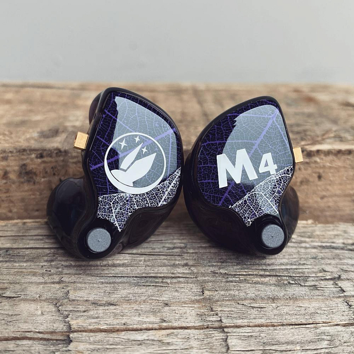 Кастомные наушники FiR Audio M4 Custom Colorless - рис.4