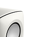 - рис.5 Сабвуфер KEF KC62 Mineral White - рис.5