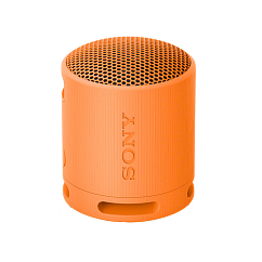 Беспроводная акустика Sony SRS-XB100 Orange