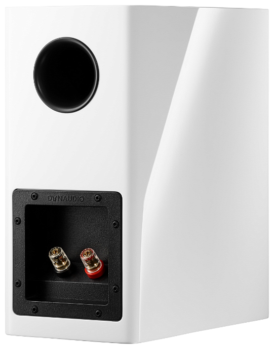 Акустическая система Dynaudio Evoke 10 White High Gloss - рис.3