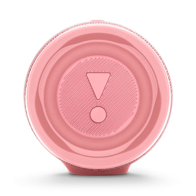 Портативная колонка JBL Charge 4 Pink + T110 BT Blue - рис.4