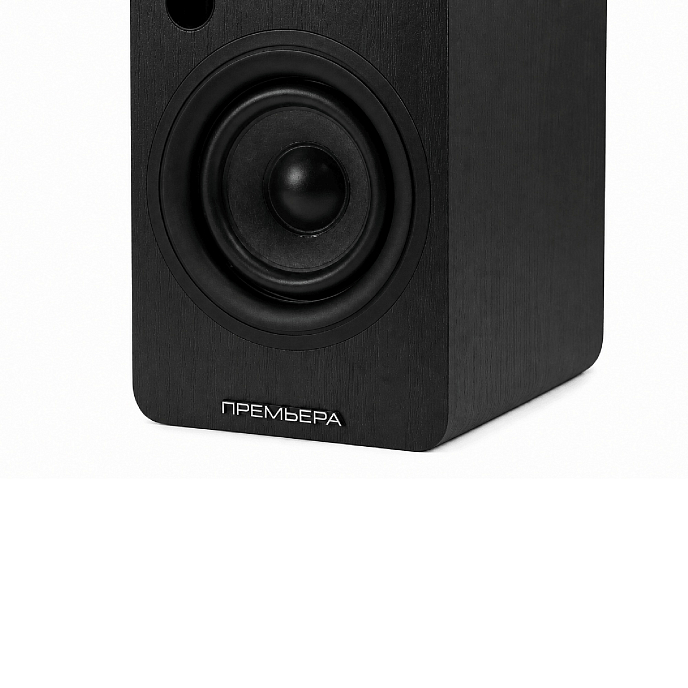 Полочная акустика Premiera RS-301A Black - рис.11
