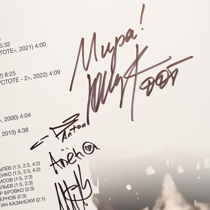 Виниловая пластинка ДДТ - Сборник песен №2 - 2LP - рис.10