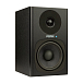 Акустическая система Fostex PM0.4c Black - рис.7