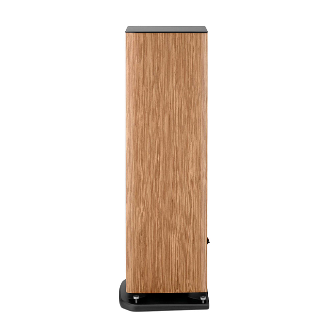 Напольная акустика Focal Aria Evo X N3 Walnut - рис.3