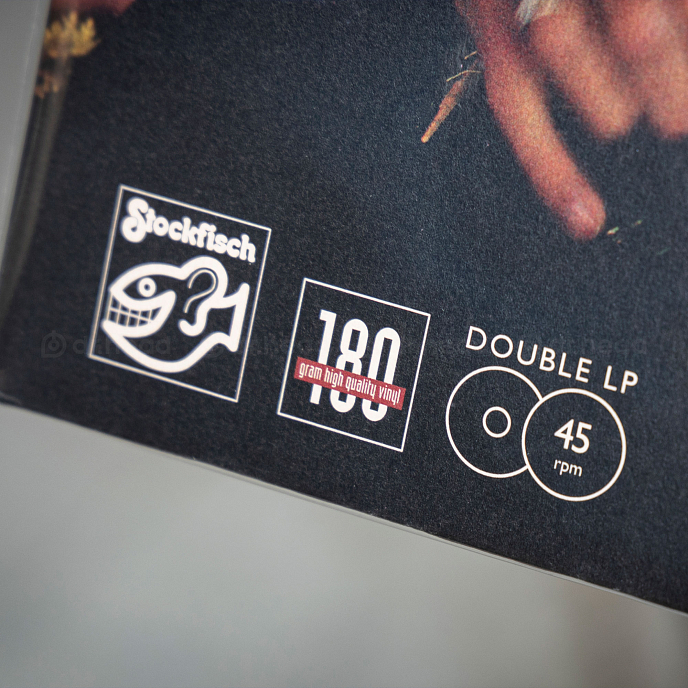 Виниловая пластинка David Roth - Meet You Where You Are 2LP - рис.3