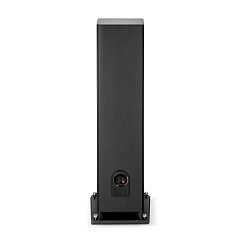 Напольная акустика Focal Aria Evo X N4 Black High Gloss