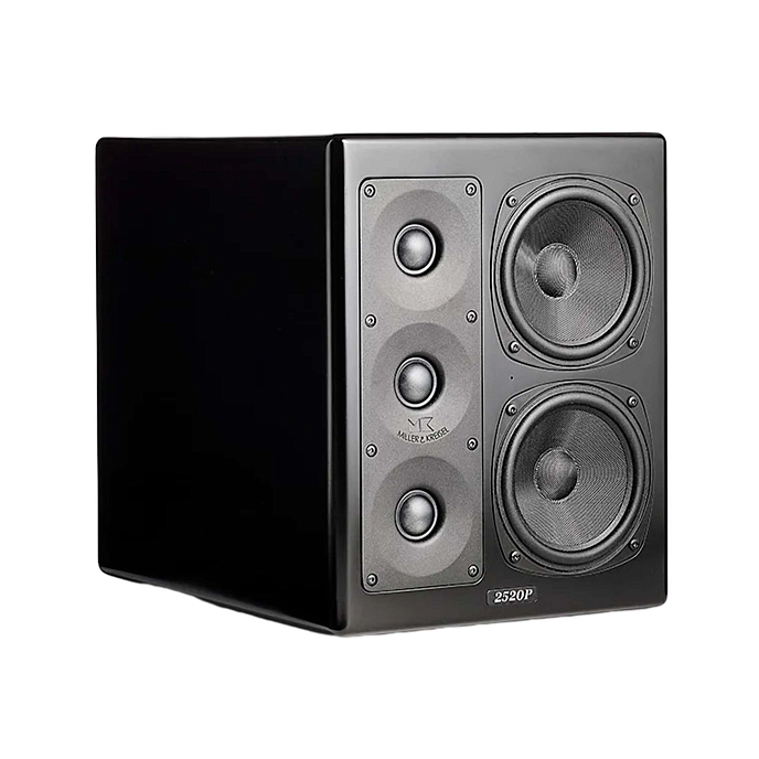 Студийный монитор M&K Sound MPS2520Р Left - рис.1