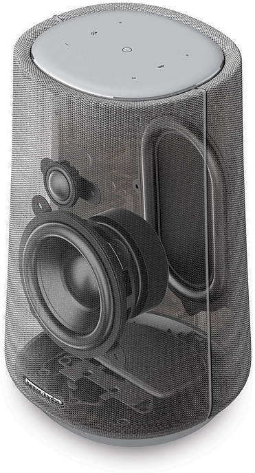 Портативная колонка Harman Kardon Citation 100 MKII Grey - рис.7