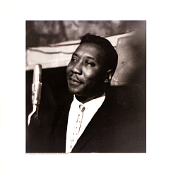 Виниловая пластинка Muddy Waters - Muddy, Brass & The Blues (Acoustic sounds) LP