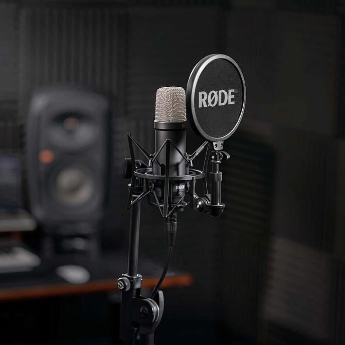 Микрофон студийный RODE NT1 Signature Black - рис.6