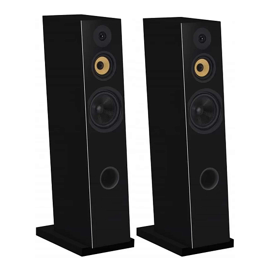 Напольная акустика Davis Acoustics Courbet N 8 High Gloss Black - рис.0