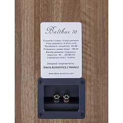 Напольная акустика Davis Acoustics Balthus 70 American Walnut
