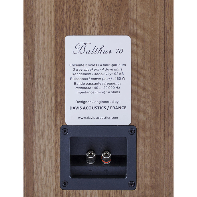 Напольная акустика Davis Acoustics Balthus 70 American Walnut - рис.4