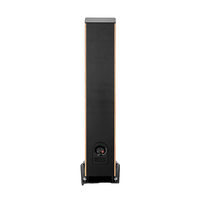 Напольная акустика Focal Aria Evo X N3 Walnut - рис.4
