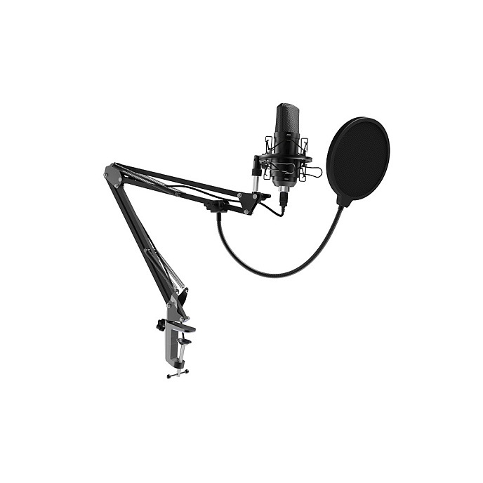 Микрофон для стриминга и игр Ritmix RDM-169 USB Black - рис.0