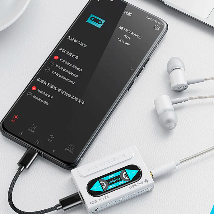 ЦАП FiiO SnowSky Retro Nano White - рис.3