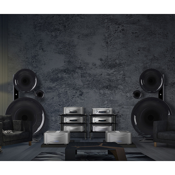 ЦАП Esoteric Grandioso D1X SE Silver - рис.4