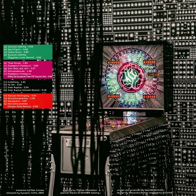 Виниловая пластинка Pdqb - Der Transiente Zeuge (coloured) LP - рис.1