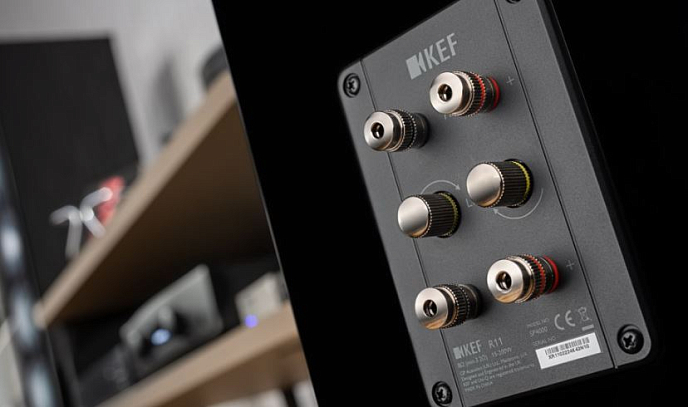 Напольная акустика KEF R11 Gloss Black - рис.12