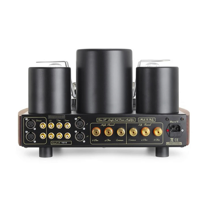 Интегральный усилитель Mastersound Compact 300B Black Wood - рис.6