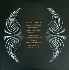 Виниловая пластинка Pearl Jam - Dark Matter - LP