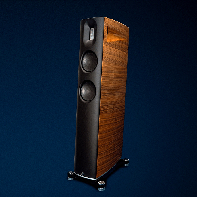 Напольная акустика Borresen 02 Walnut - рис.6