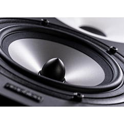 Студийный монитор Amphion Two18X Black