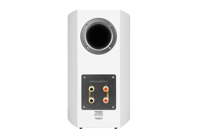 Полочная акустика Premiera DS-601 White - рис.4