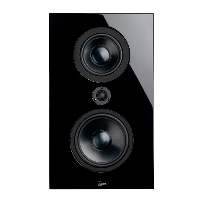 Настенная акустика Lyngdorf FR-1 Matte Black - рис.0