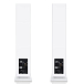 Напольная акустика Canton Smart Townus 8 White Matt - рис.6