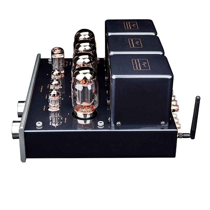 Интегральный усилитель Cayin MT-50 Silver - рис.4