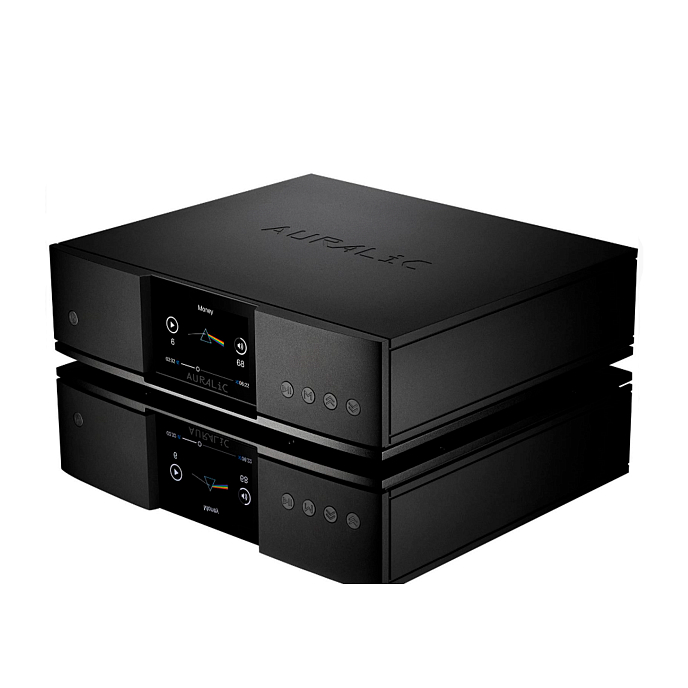 Сетевой аудиоплеер AURALiC ARIES G2.2 (4TB SSD) Black - рис.2