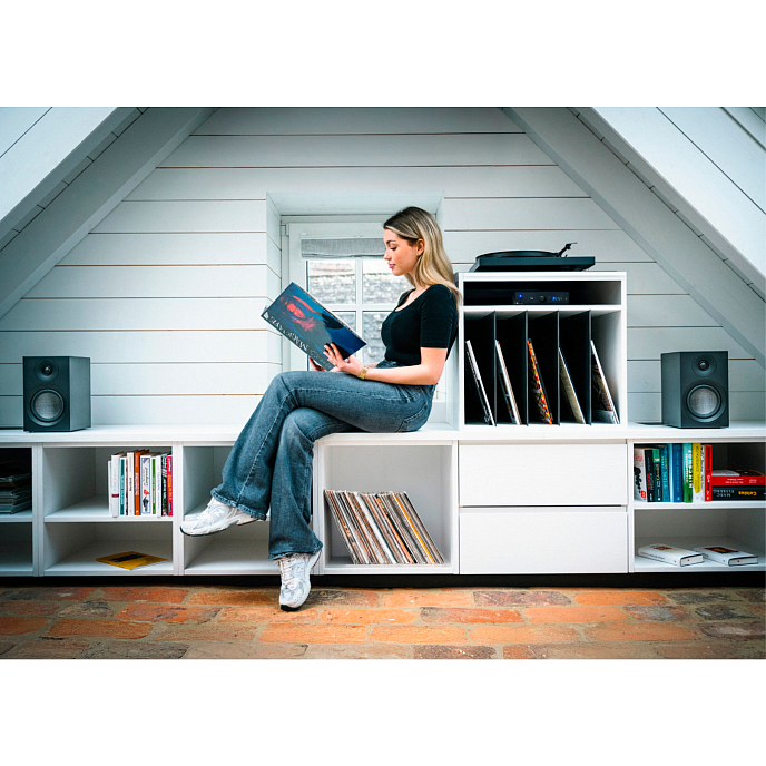 Комплект Pro-Ject Colourful Audio System E Satin Golden Yellow - рис.4