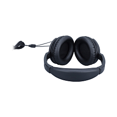 Наушники полноразмерные Music Public Kingdom HP402 Black