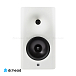 Полочная акустика Dutch & Dutch 8c Speaker White & White - рис.1