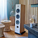 Напольная акустика Focal Chora 826 Light Wood - рис.6