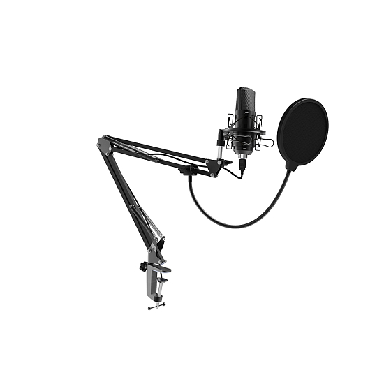 Микрофон для стриминга и игр Ritmix RDM-180 Black - рис.0