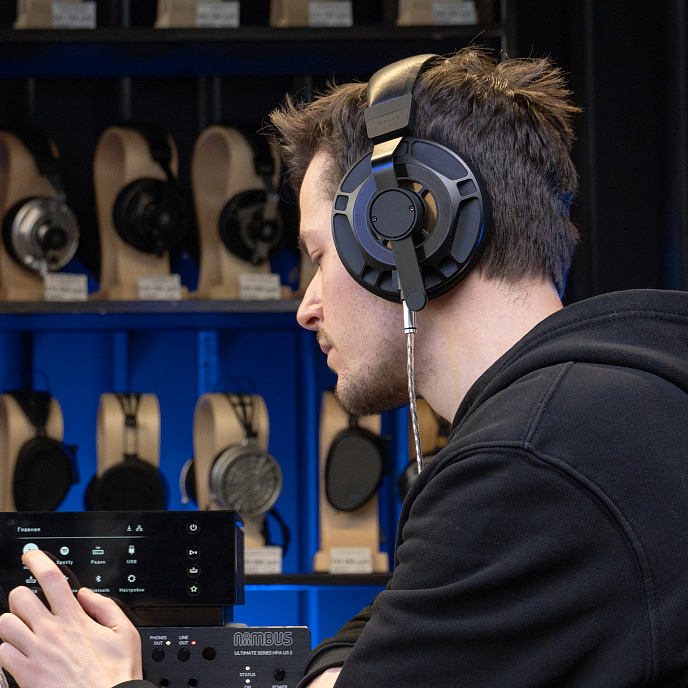 Наушники полноразмерные Final Audio D8000 Pro Limited Edition Black/Gold - рис.26