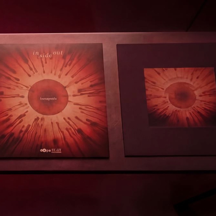 Бокс-сет Vinyl Vision 3000 - Incognito (Inside Out) (box) LP - рис.6