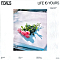 Foals - Life Is Yours - Coloured LP