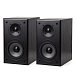 Полочная акустика Radiotehnika Alfa 1.01 Black Ash - рис.0