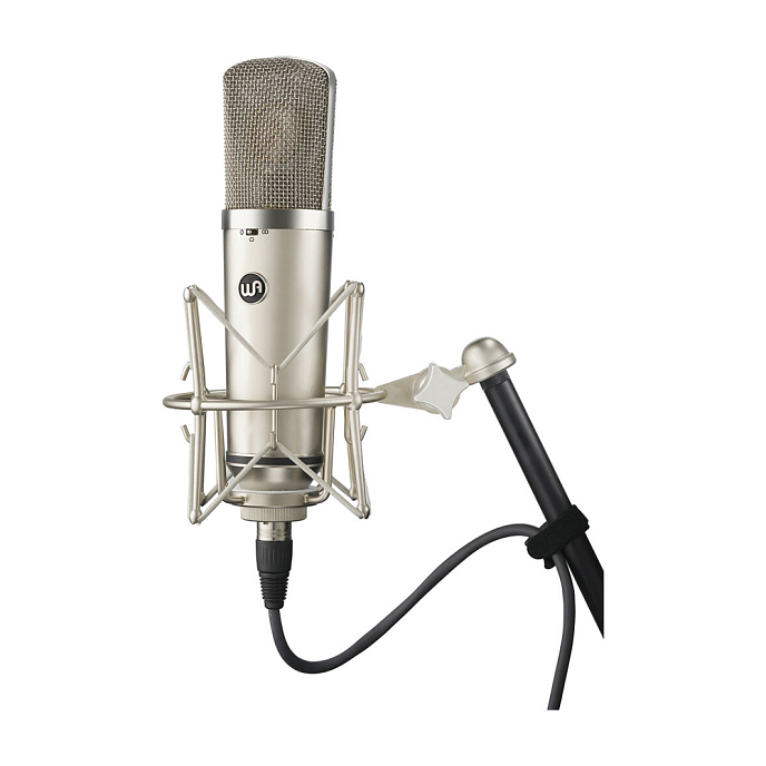 Микрофон студийный Warm Audio WA-67 Silver Gold - рис.5