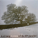Виниловая пластинка k.d. lang - Hymns Of The 49th Parallel - рис.0