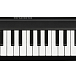 MIDI-клавиатура Korg MICROKEY2 49 - рис.2 MIDI-клавиатура Korg MICROKEY2 49 - рис.2