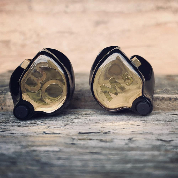 Кастомные наушники FiR Audio M5 Custom Colorless - рис.4