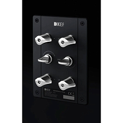 Напольная акустика KEF Reference 5 Meta High Gloss Black Grey